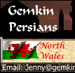 Gemkin Persians